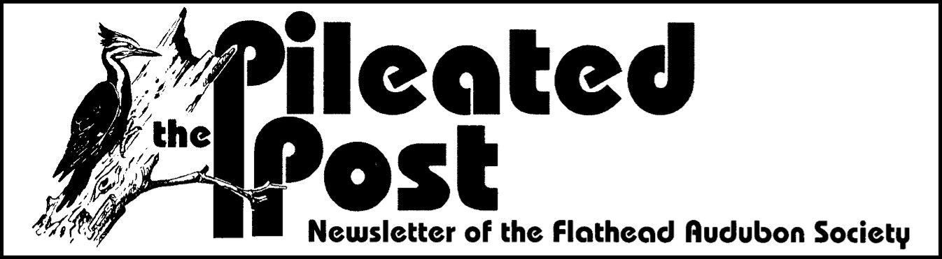 40 Years of FAS Newsletters Coming to Website – Newsletter Editors to be Honored in May