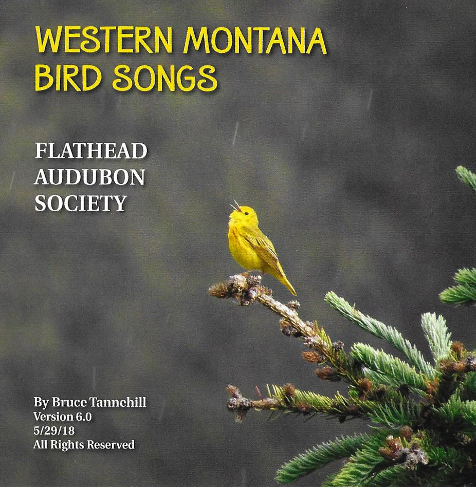 Birds Of Prey: The Album Soundtrack Audio CD NEW