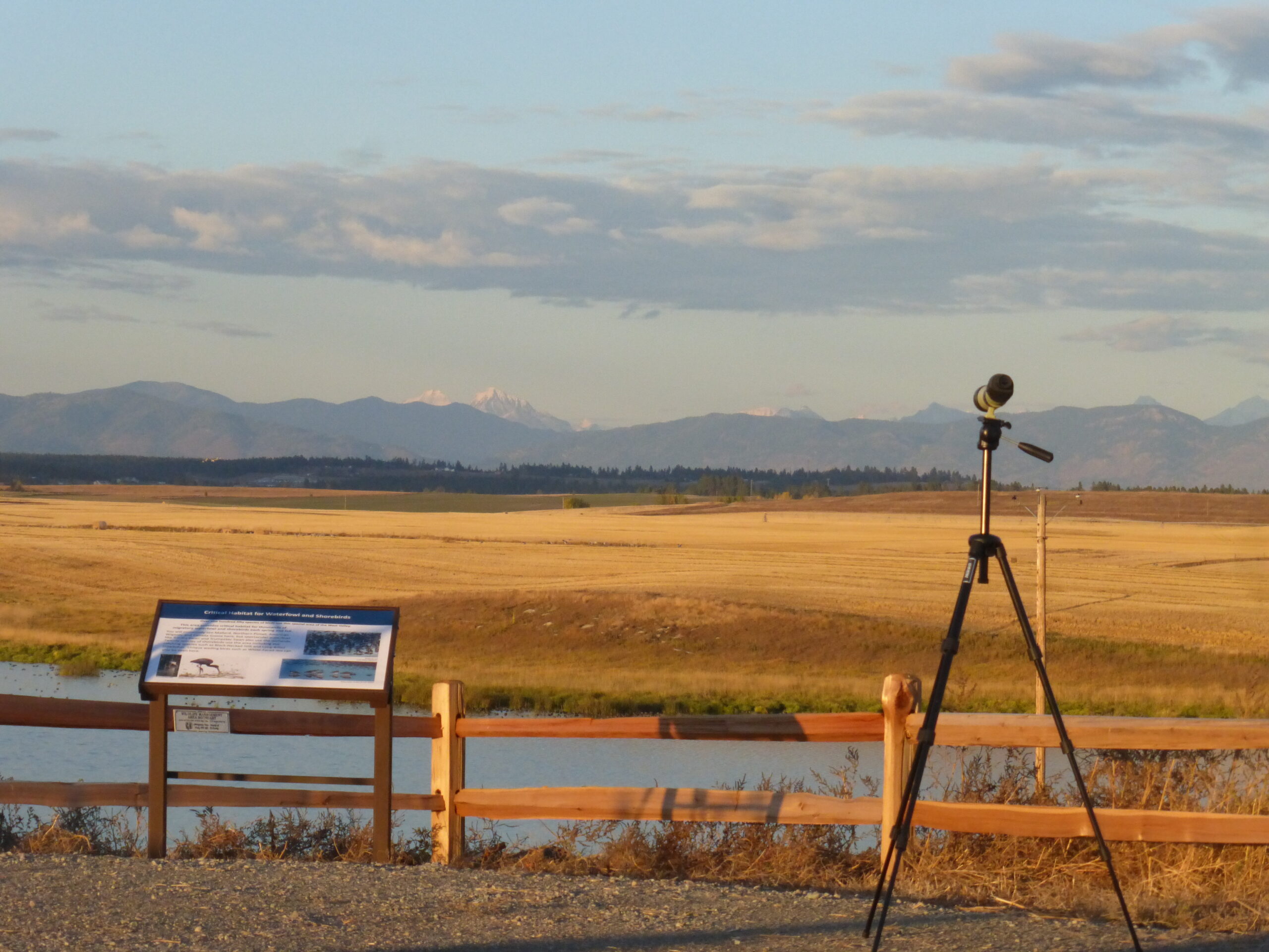 New West Valley Bird Viewing Area is Open!