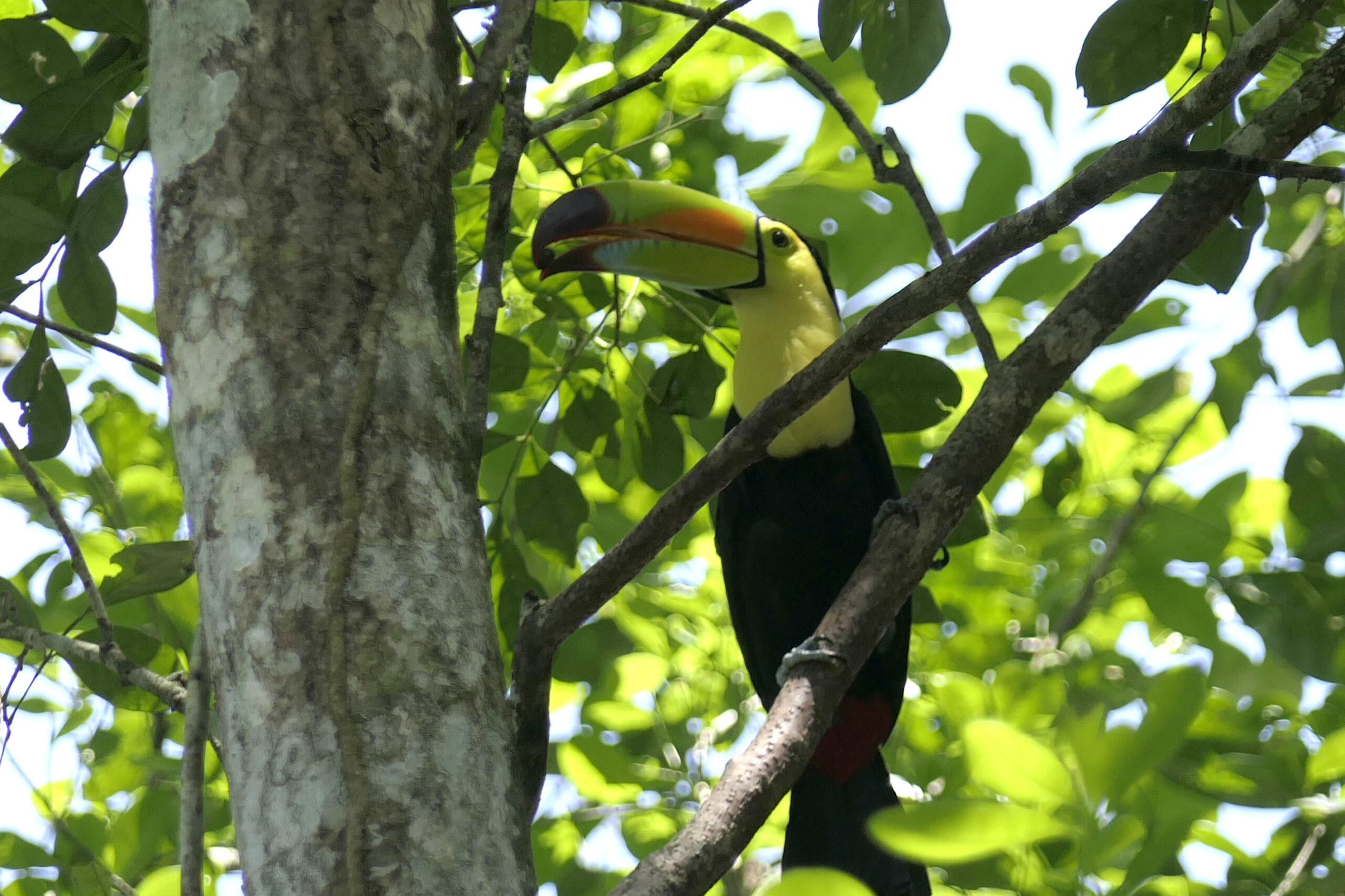 December 2020 Program