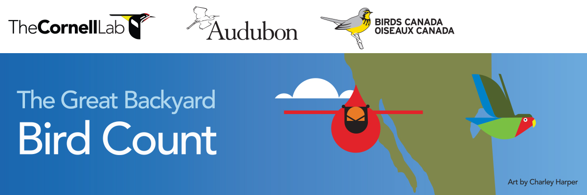 The Great Backyard Bird Count 2022