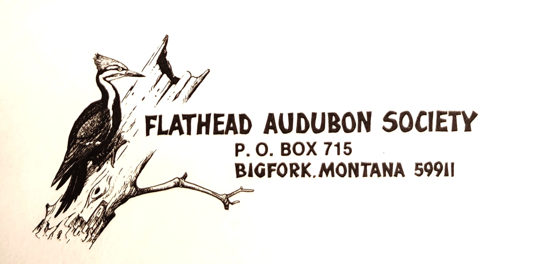 History Corner: The Beginning of Two Audubons