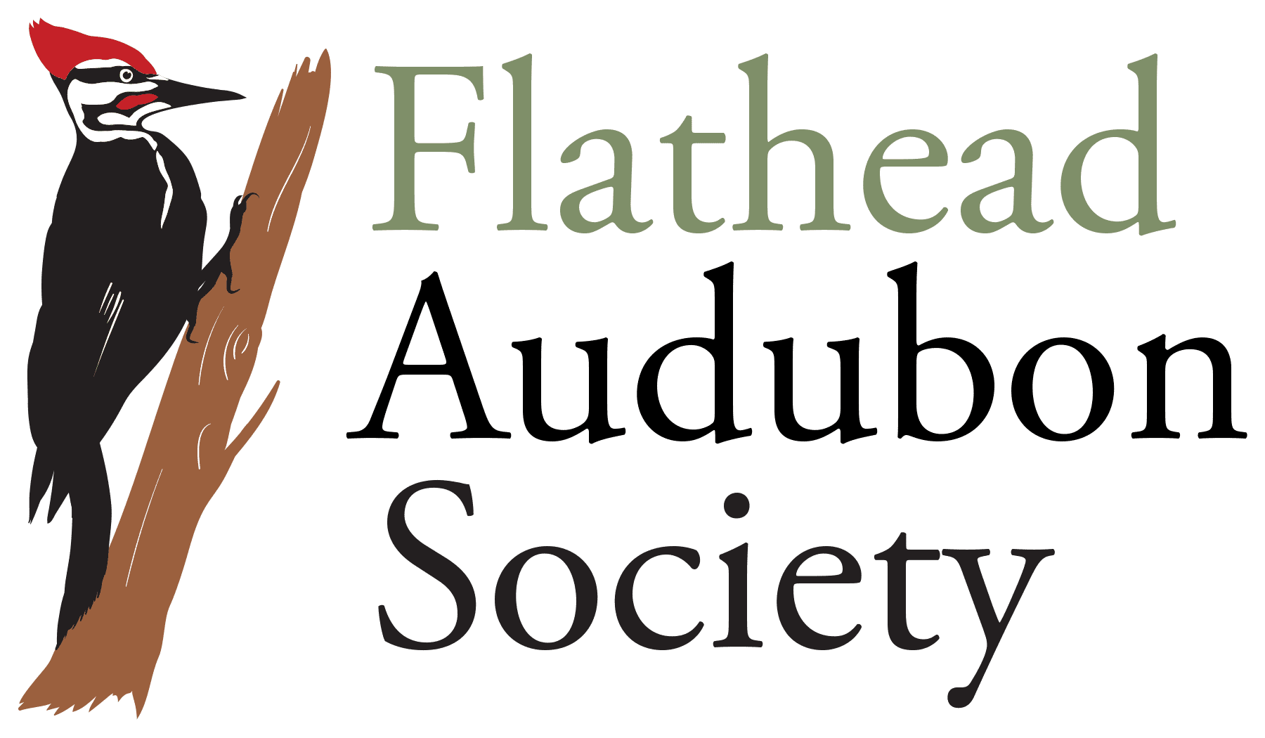 The Three Levels of Audubon