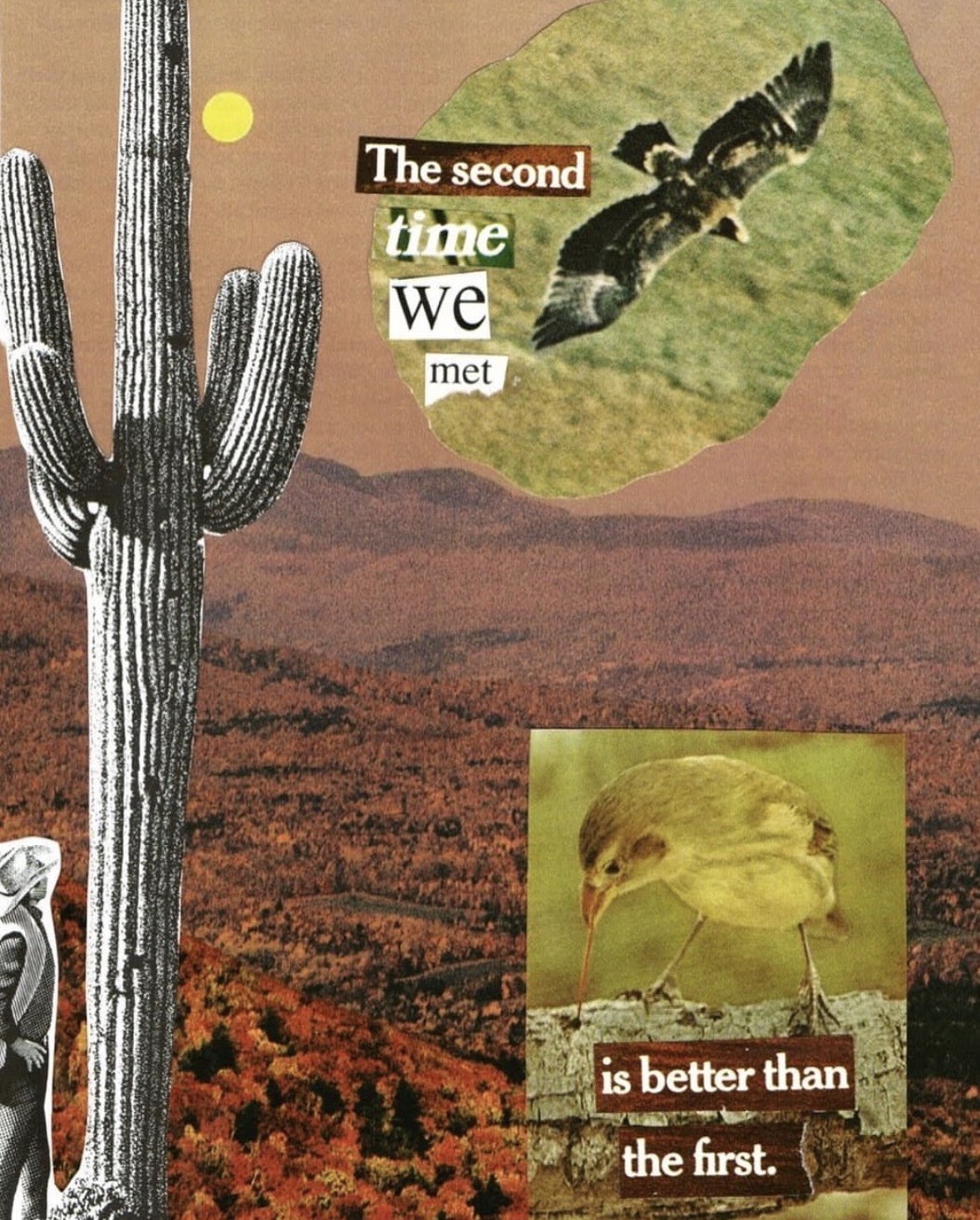 Audubon Winter Gathering: Collage Event!