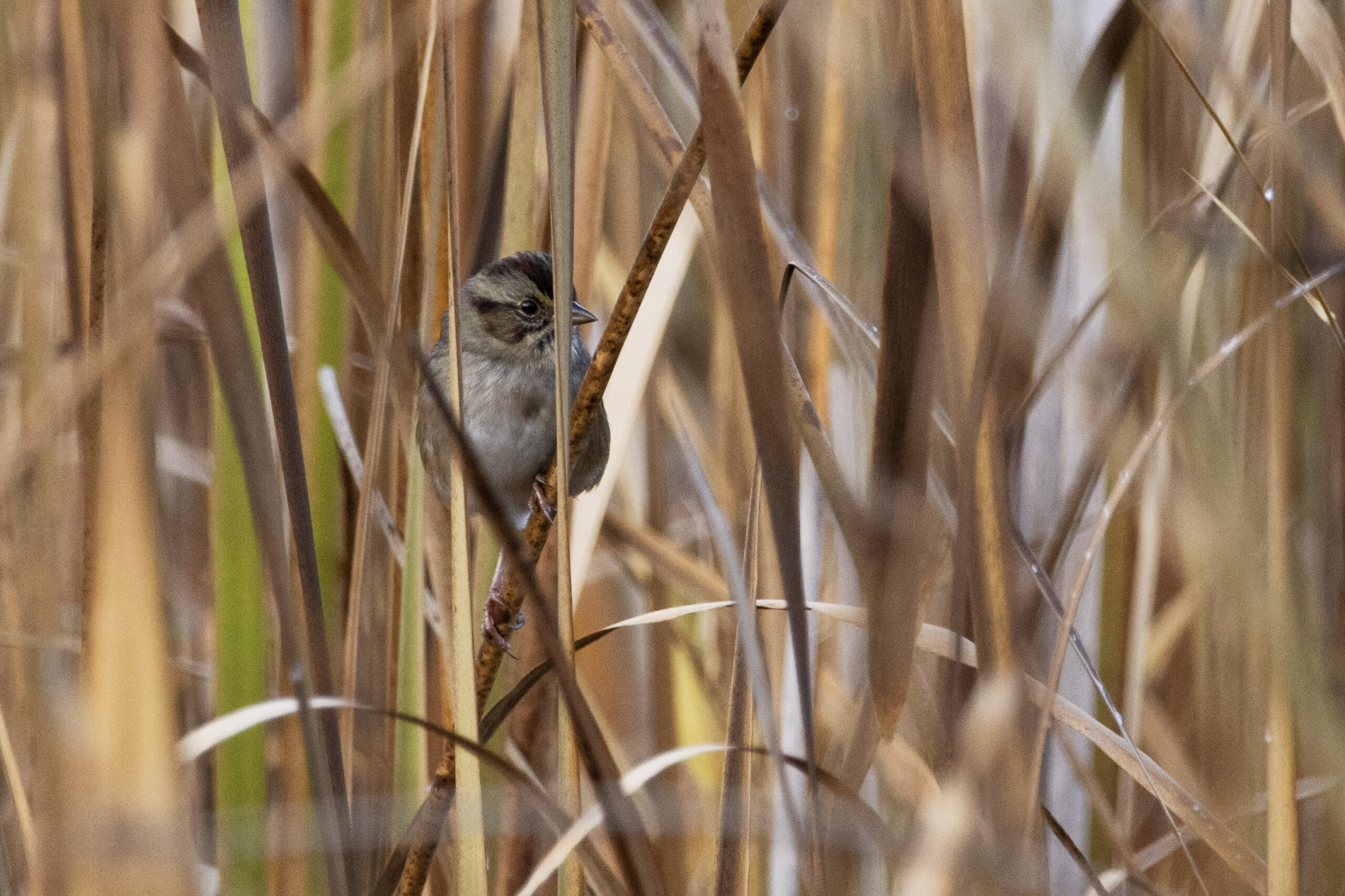 Robocker Field Trip Report