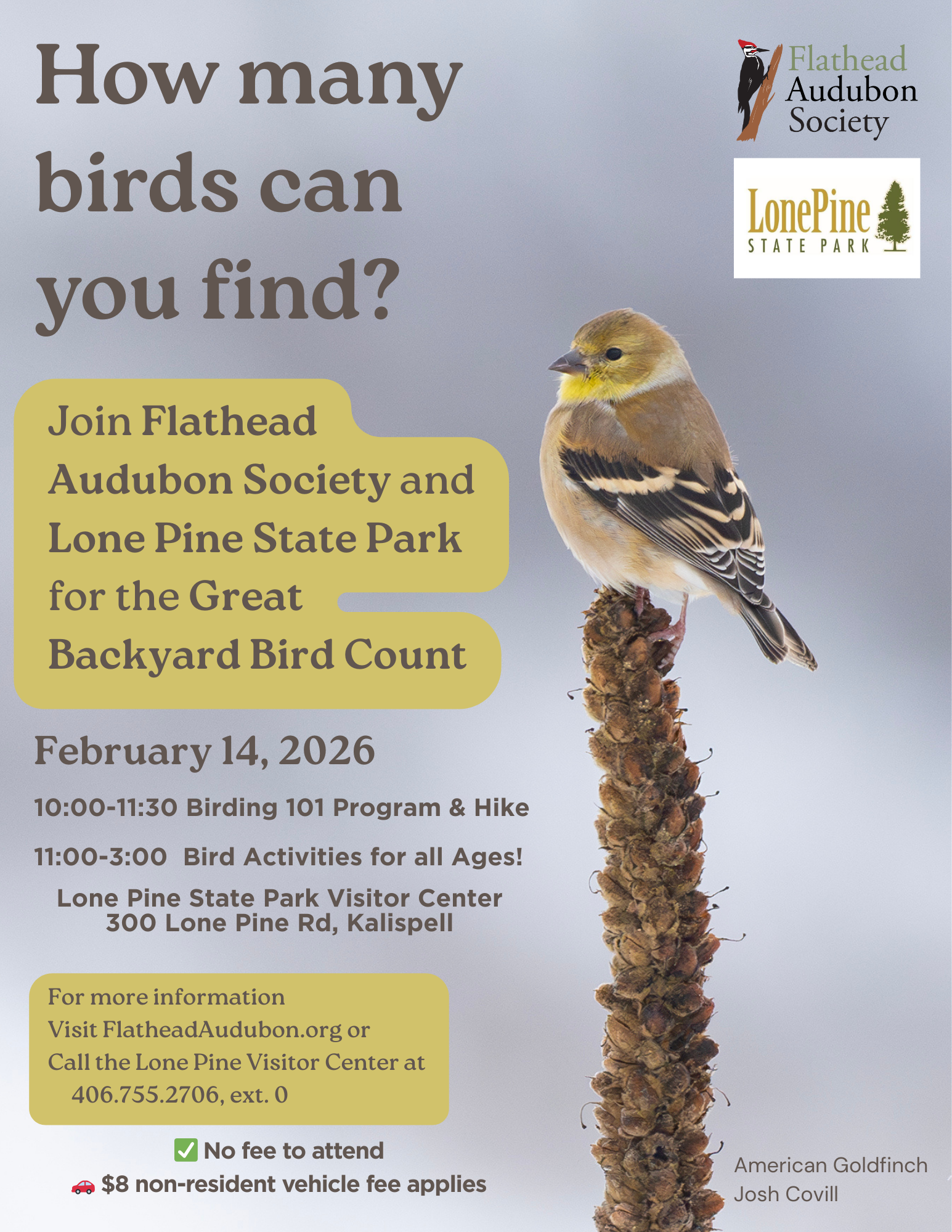 Great Backyard Bird Count Celebration!