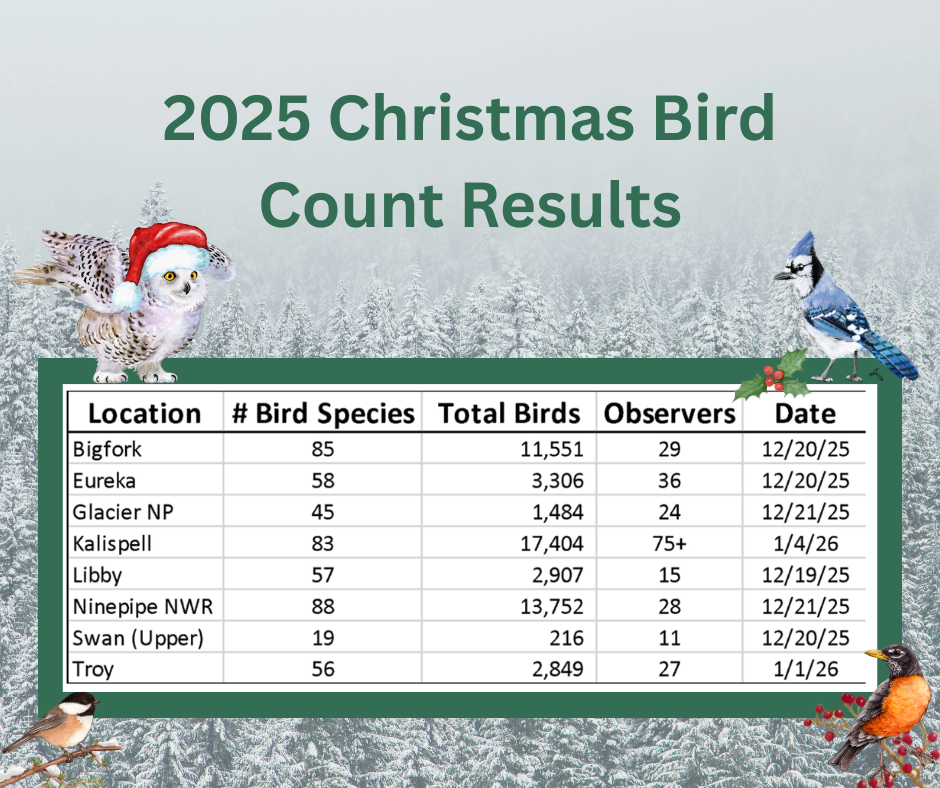 Flathead Valley Christmas Bird Count