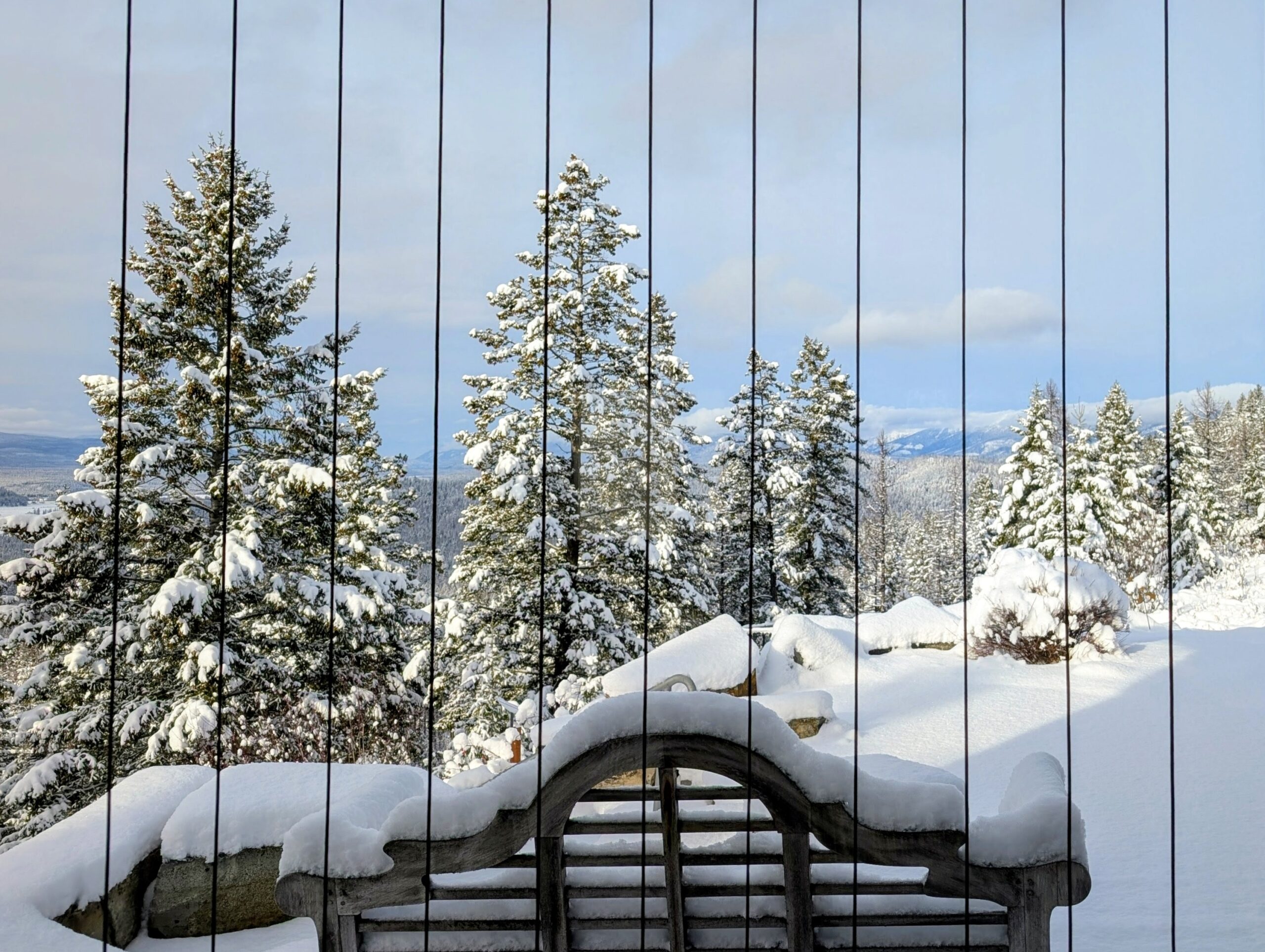 Project FeederWatch Reports from around the Valley